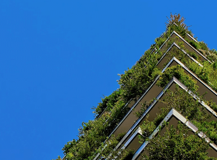 Ecoconstructie: voor een duurzame toekomst